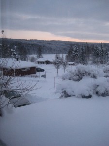 Julaftons morgon, utsikt från vår stuga. Underbart:)
